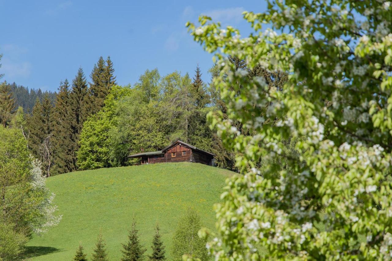 Landhotel Hinteraigengut Flachau Exterior foto